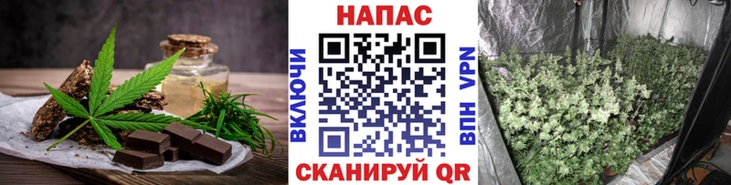 наркотики Гдов Cannafood конопля