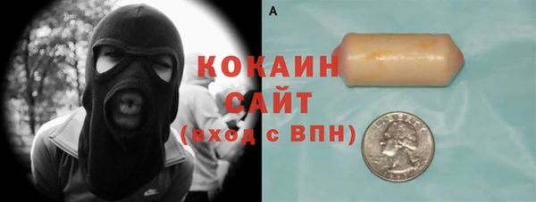 прущий лед Алзамай